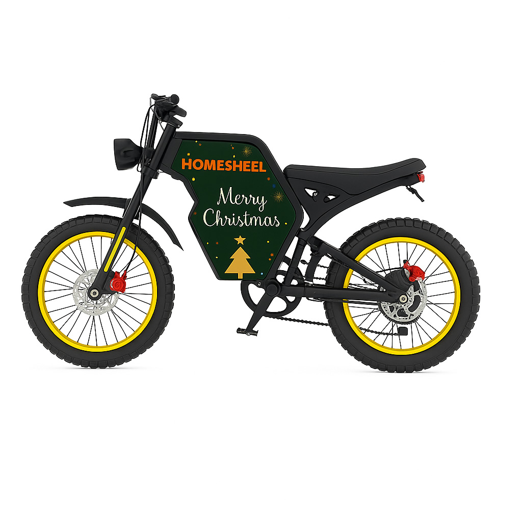 Xe Đạp Điện Thể Thao HomeSheel