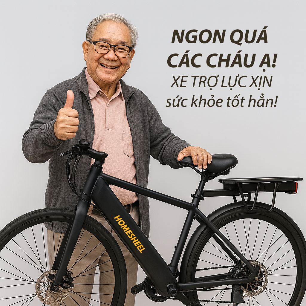 Xe đạp điện trợ lực Homesheel C22 (6)