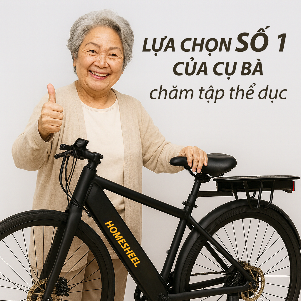 Xe đạp điện trợ lực Homesheel C22 (8)