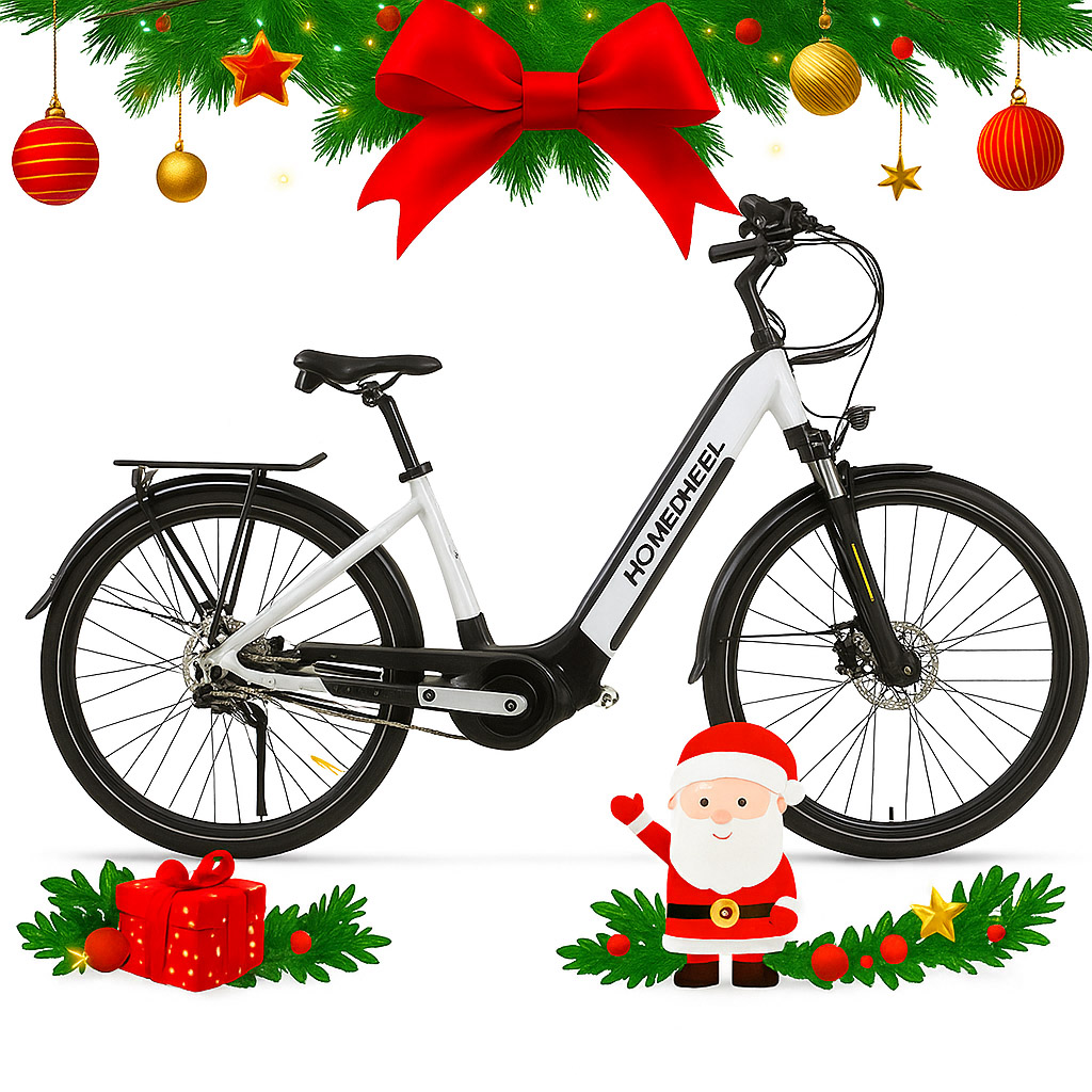 Xe đạp điện HomeSheel