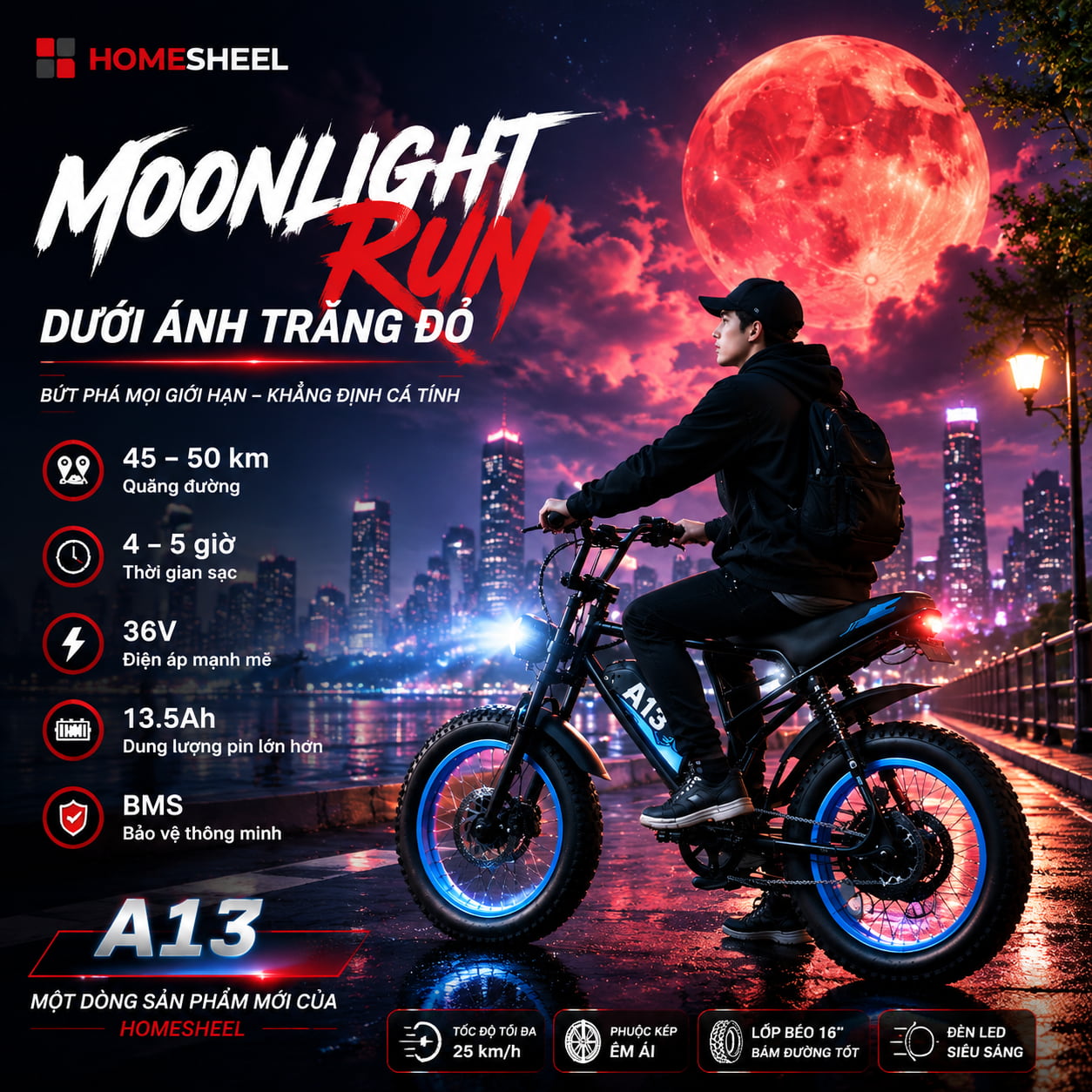 Xe đạp điện trợ lực HOMESHEEL AVDL A13 (5)