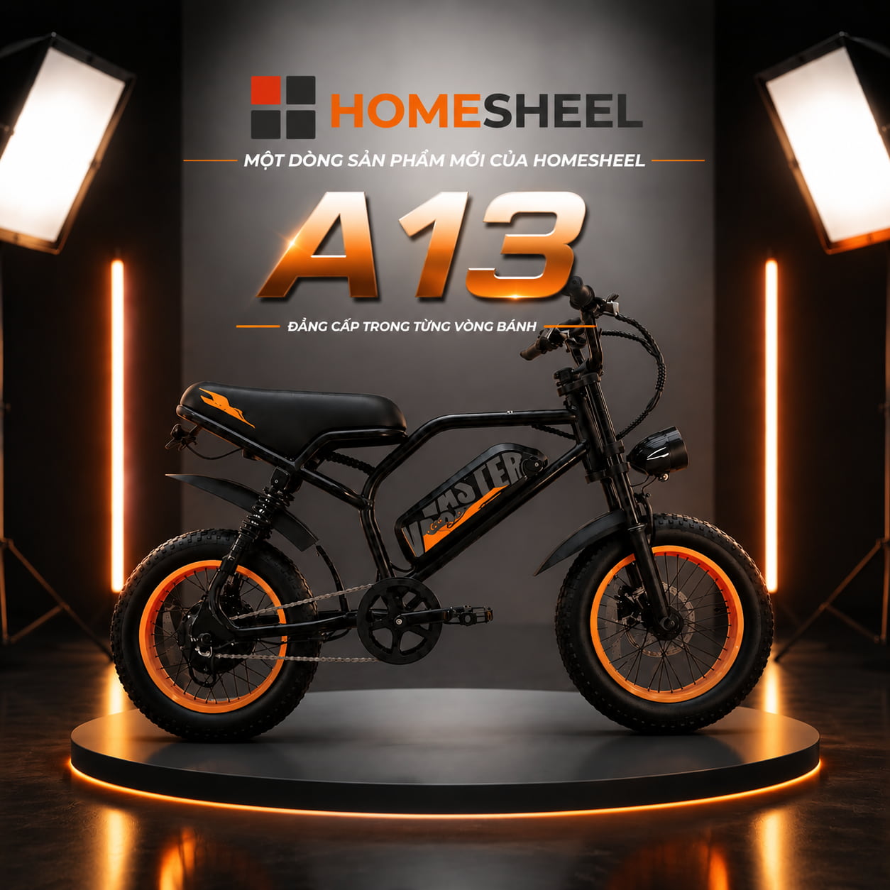 Xe đạp điện trợ lực HOMESHEEL AVDL A13 (8)