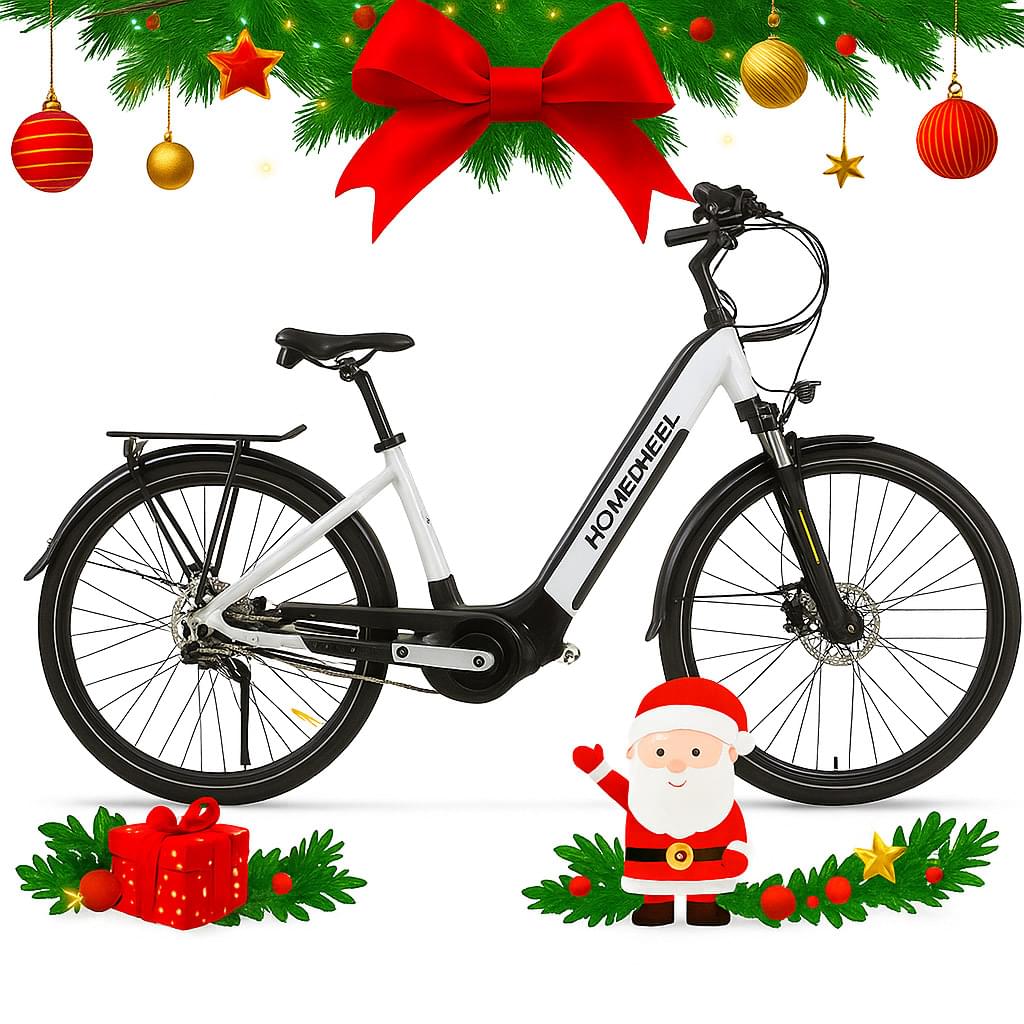 Xe đạp điện HomeSheel